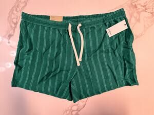 Goodfellow & Co Men’s Vacay Pull-On Shorts XXL Green Striped Linen Blend NWT